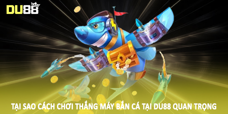 Cách Chơi Thắng Máy Bắn Cá DU88 - Kiến Thức Nền Tảng 2025 3 Tại sao cách chơi thắng máy bắn cá tại DU88 quan trọng