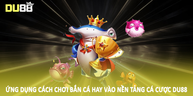 Cách Chơi Bắn Cá DU88 - Hướng Dẫn Kiến Thức Đầu Tư Cơ Bản 3 Ứng dụng cách chơi bắn cá hay vào nền tảng cá cược DU88