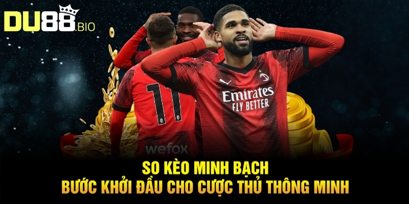 Top 5 Nhà Cái Có Tỷ Lệ Kèo Tốt Nhất Du88 Nơi Kèo Thơm Hội Tụ